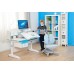 Children Kids Ergonomic Study Desk with Adjustable Double-Winged Swivel Chair Set